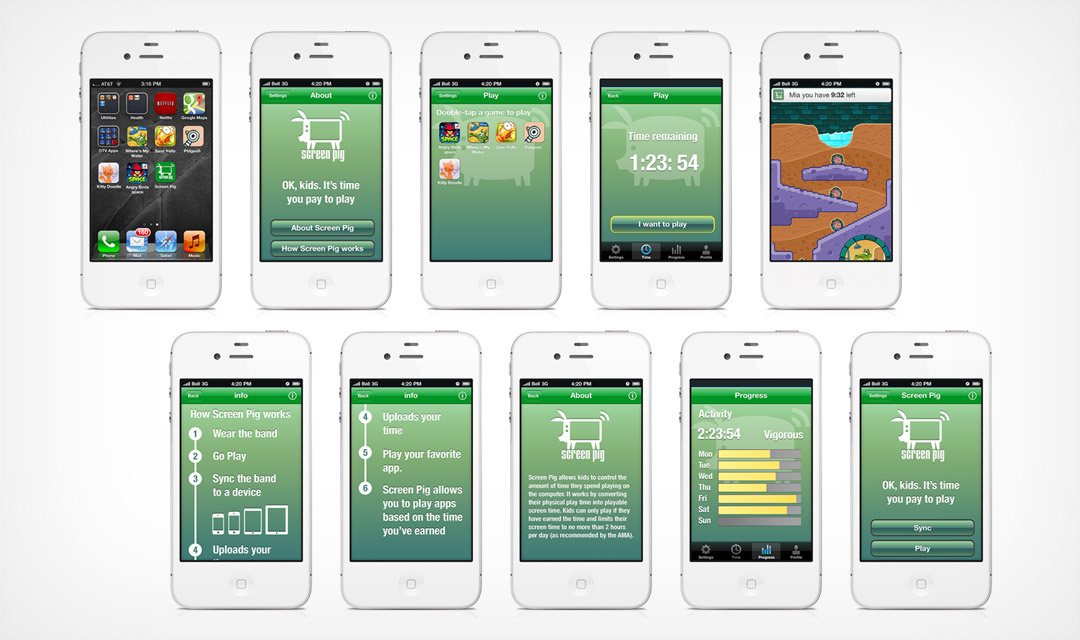 screen pig screen types